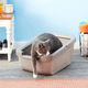 thumbnail image 2 of Catit Arenero Para Gatos Borde Grueso Gris Claro L&h, 2 of 3