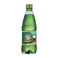 Bebida Ginger Ale Original Botella 600 Ml Canada Dry
