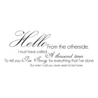 Rienda Libre Graphics - Decomural Hello From The Other Side Adele 25 Ws-40787