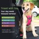 thumbnail image 2 of Cinturón de seguridad para perros VavoPaw, arnés de seguridad para coche, nailon, magenta, XL, 2 of 5