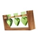 thumbnail image 2 of Maceta Hidropónica Para Plantas, Terrario Para Mesa De Comedor, Cocina De Estilo Rústico, Color Verde, 2 of 3