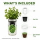 thumbnail image 2 of Kit de cultivo de hierbas Environet de menta piperita hidropónico para interior, 2 of 6