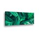 thumbnail image 1 of Canvas Tropical Banana 90x45cms, 1 of 1