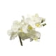 thumbnail image 4 of Planta Artificial Orquidea, 4 of 5
