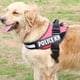 thumbnail image 3 of Arnes Pechera K9 Alcochado Reforzado Perros Pequeños Talla M, 3 of 3