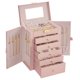 thumbnail image 1 of Caja de Joyas SONGMICS de 6 Niveles con Cerradura y Espejo Rosa, 1 of 6