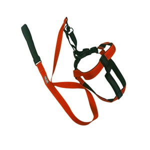 Importclick - Arnés Correa Mascotas Resistente Ajustable Naranjo