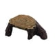 thumbnail image 1 of Plataforma Para Tomar El Sol De Tortugas Decorativas Para Escondite De Reptiles, Anfibios, 29cm X 19cm X 9cm, 1 of 5