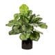thumbnail image 1 of Planta Artificial Calathea 45 cm, 1 of 1