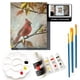 thumbnail image 2 of Kit de pintura Painting4Real Cardinal Acrílico, 9 piezas, 2 of 9