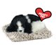 thumbnail image 1 of Peluche Perfect Petzzz Mini Cocker Spaniel 11x8x4 cm, 1 of 5