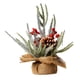 thumbnail image 1 of Árbol De Navidad De Mesa Mini árbol De Navidad Para Dormitorio Suministros Para Fiestas Estante Estilo A, 1 of 3