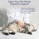 thumbnail image 3 of Polvo probiótico Rx Vitamins Rx Biotic para perros y gatos, 3 of 7
