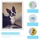 thumbnail image 3 of Boston Terrier Kits de Pintura de Diamantes para Adultos 5D DIY Diamond Art Kits Full Drill Diamond Dots para Regalo Decoración de Pared y Relajación Artes de Gemas 30*40cm, 3 of 6