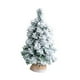thumbnail image 1 of Árbol De Navidad Artificial Con Nieve Flocada Para Ventana, Mini árbol De Navidad Para Escritorio, 20 X 20 X 50 Cm, 1 of 3