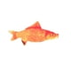 thumbnail image 5 of Gato De Peluche Catnip Fish Toys 18cm Simulación De Pez Relleno Juguete Práctico Lovely Carp, 5 of 5