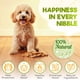 thumbnail image 2 of Masticables Sabor Res Para Pulgas Y Garrapatas Para Perros 150 Unidades, 2 of 7