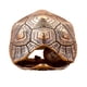 thumbnail image 4 of Llavero Con Forma De Concha De Tortuga, Colgante, Buena Suerte, Feng Shui, Minifigura De Concha De Tortuga, 4 of 5