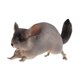 thumbnail image 3 of Modelo De Estatuilla De Animal, Recuerdo De Fiesta, Decoración Del Hogar, Artesanía, Estatuilla De Juguete Pintada A Mano, Chinchilla, 3 of 5
