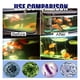 thumbnail image 4 of Alguicida para acuarios de 50 g, eliminador de algas para peceras, limpiador de agua para acuarios., 4 of 5
