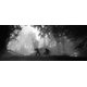 thumbnail image 4 of Videojuego Devolver Digital Trek To Yomi para Nintendo Switch, 4 of 9