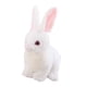 thumbnail image 1 of Conejo De Peluche Conejo De Vacaciones De Pascua Con Orejas Largas Para Niños Pequeños Regalo De Pascua Blanco 32 Cm, 1 of 5