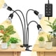 thumbnail image 1 of Luz de Crecimiento para Plantas SANSI 600W Espectro Completo con 4 Brazos Flexibles y Temporizador, 1 of 8