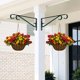 thumbnail image 2 of Colgadores para plantas Hystun Outdoor, 2 unidades, 39 cm, hierro verde negruzco, 2 of 6