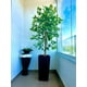 thumbnail image 5 of Planta Artificial Decorativa Arbol Grande Pack Ficus 160cm, 5 of 8