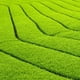 thumbnail image 4 of Matcha Organico Puro 100g Ceremonial Premium Te Verde Bio V, 4 of 7