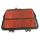 thumbnail image 1 of Filtro De Aire Triumph Tiger 800 (2011 Al 2022) Japones, 1 of 4