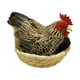 thumbnail image 4 of Modelo De Simulación De Pollo, Accesorio De Plumas Artificiales Para Cocina De Granja, 4 of 5
