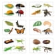 thumbnail image 5 of Set De 24 Figuras Del Ciclo De Vida De Insectos, 5 of 5