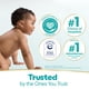 thumbnail image 5 of Toallitas para Bebé Pampers Sensitive Sin Fragancia 168 Unidades, 5 of 9
