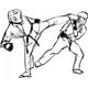 thumbnail image 1 of Decomural Karate Fight Martial Arts WS-18844, 1 of 2