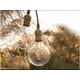 thumbnail image 2 of Ampolleta Led Globo Edison Vintage Clásico Retro 6w, 2 of 3