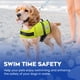 thumbnail image 5 of Chaleco de natación para perros Dog Life Jacket Paws Aboard, amarillo neón, 5 of 7