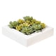 thumbnail image 1 of Planta artificial Vickerman Everyday, 30 x 30 cm, suculenta, color verde, 1 of 7
