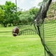 thumbnail image 5 of Red de fútbol BaseGoal 2,4 x 2,4 m de alta resistencia para precisión, 5 of 6