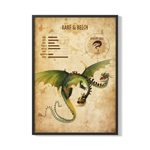 Creango - Cuadro Poster Enmarcado Como Entregar A Tu Dragon Diseño 3 Decorativo