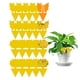 thumbnail image 4 of Protect Your Plants with Non-Toxic Fruit Fly, Fungus Gnat and Yellow Sticky Bug Traps - Perfect for Indoor and Outdoor Use!, 4 of 4