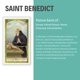 thumbnail image 4 of Tarjeta de Oración de San Benito – San Francis Imports, 4 of 7