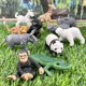 thumbnail image 2 of Figuras TOOB 11 de Toy Figures Safari Ltd., Zoo Babies, 3 o más, 2 of 4