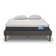 thumbnail image 1 of Cama Europea Curve Excellence Plus 2 Plazas Alm V N, 1 of 11