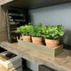 thumbnail image 2 of Planta Artificial Plantas Con Bandeja 28 Cm, 2 of 3