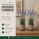 thumbnail image 3 of Set 2 Plantas Artificiales Flores Lavanda Decoracion Hogar azul, 3 of 8