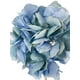 thumbnail image 3 of Hortensia Celeste Lila Con Hojas 82cm, 3 of 3