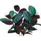 thumbnail image 2 of Planta Artificial Interior Ficus 75cm Decorativa Jhn, 2 of 3