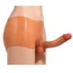 thumbnail image 4 of 1pc G Spot Pleasure Toys - Soft Touch and Skin Texture Penis Dragon Bone Simulation Penis for Females, 4 of 4