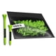 thumbnail image 1 of Tees Golf Vice Bamboo 75 Unidades Verde 3.3/2.1 cm Eco, 1 of 3